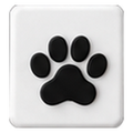 Paw